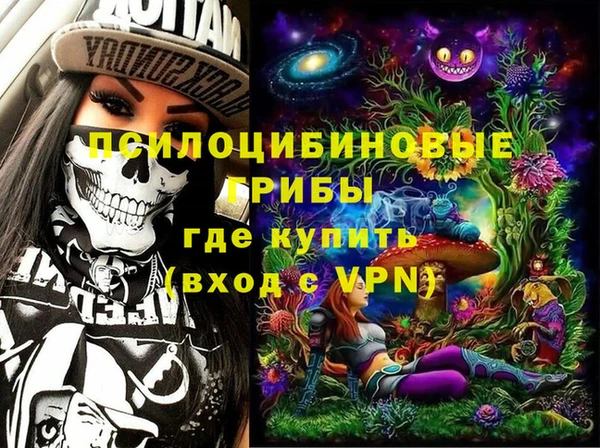 индика Абдулино