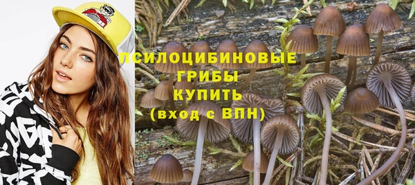 ПСИЛОЦИБИНОВЫЕ ГРИБЫ Семикаракорск