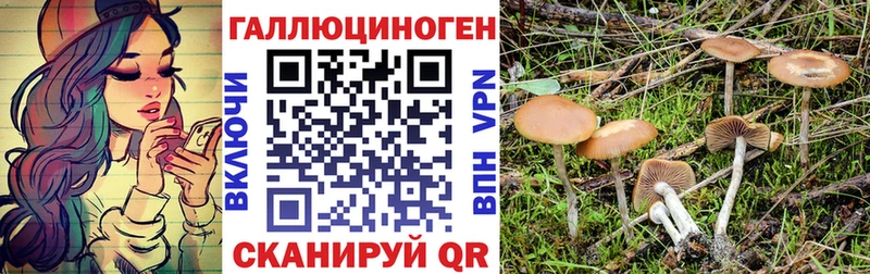 закладки  Анадырь  Псилоцибиновые грибы Cubensis 